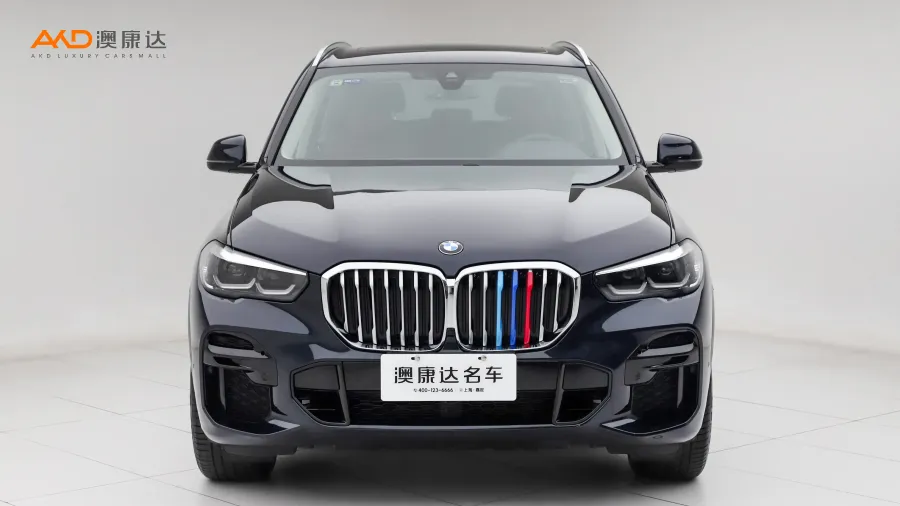 二手宝马X5 xDrive30i M运动套装图片3574919