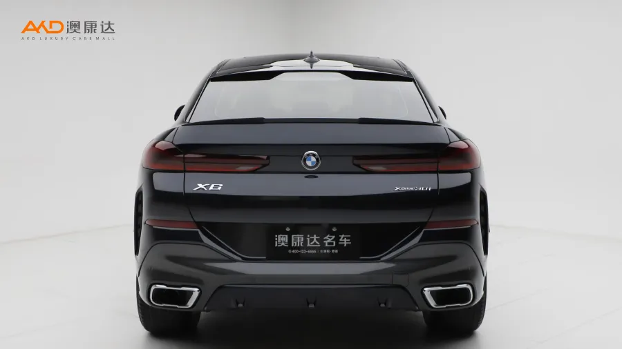 二手宝马X6 xDrive30i M运动套装图片3576096