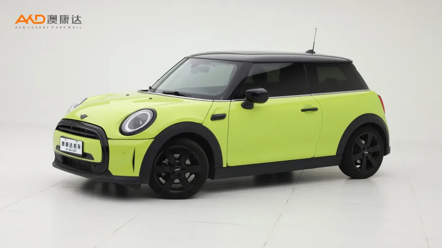 二手Mini COOPER 艺术家图片