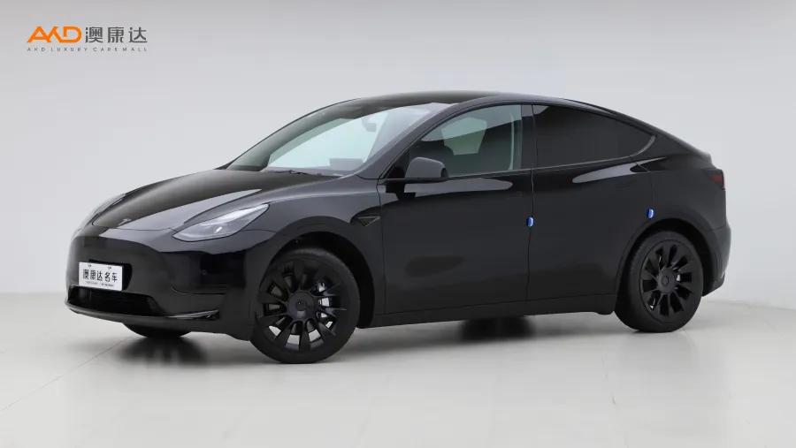 二手特斯拉Model Y 改款 后轮驱动版图片