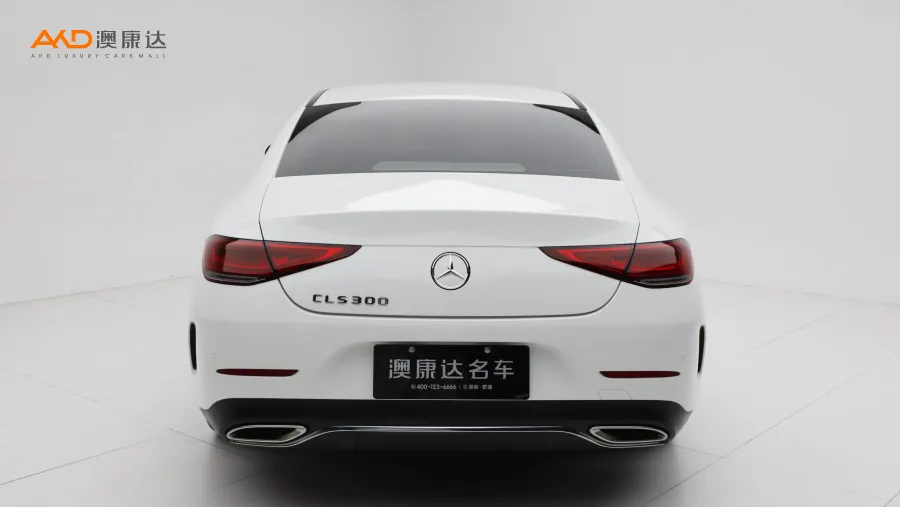 二手奔驰CLS300 动感型图片3579178