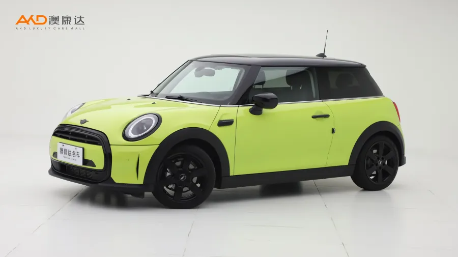 二手Mini COOPER 艺术家图片