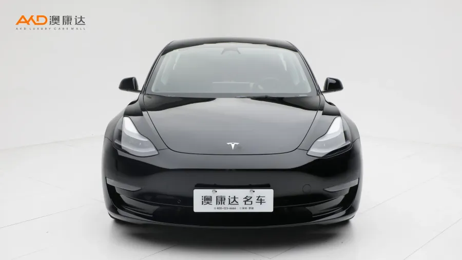 二手特斯拉Model 3 Performance高性能全轮驱动版图片3584853