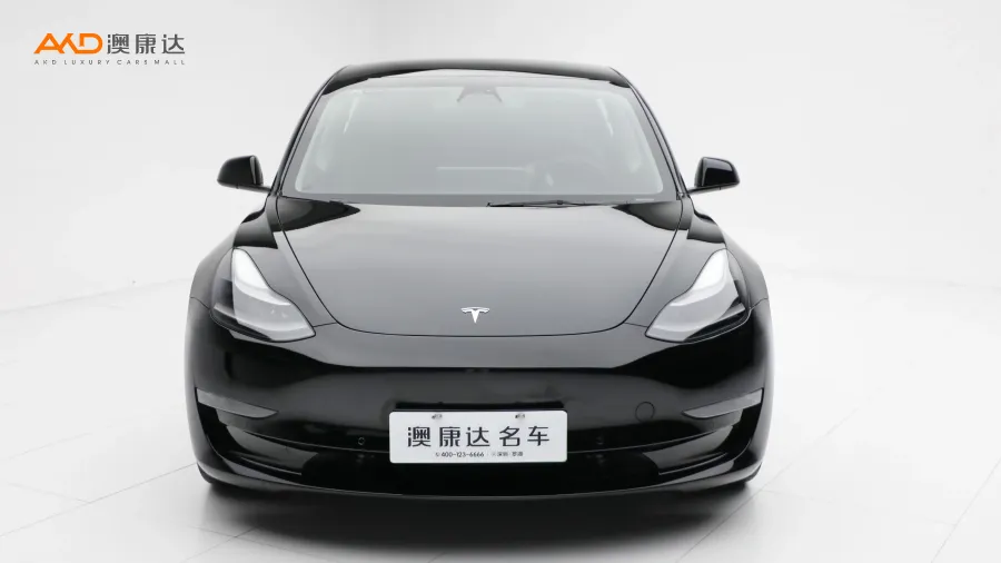 二手特斯拉Model 3 Performance高性能全轮驱动版图片3592589