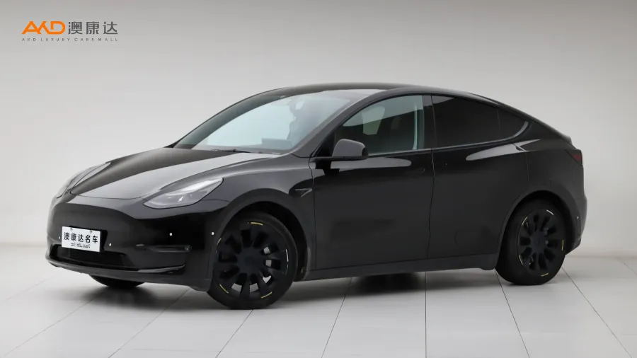 二手特斯拉Model Y 标准续航后驱版图片