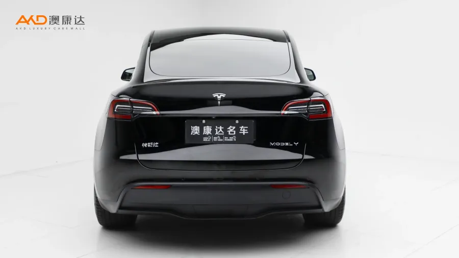 二手特斯拉Model Y Performance高性能全轮驱动版图片3593587