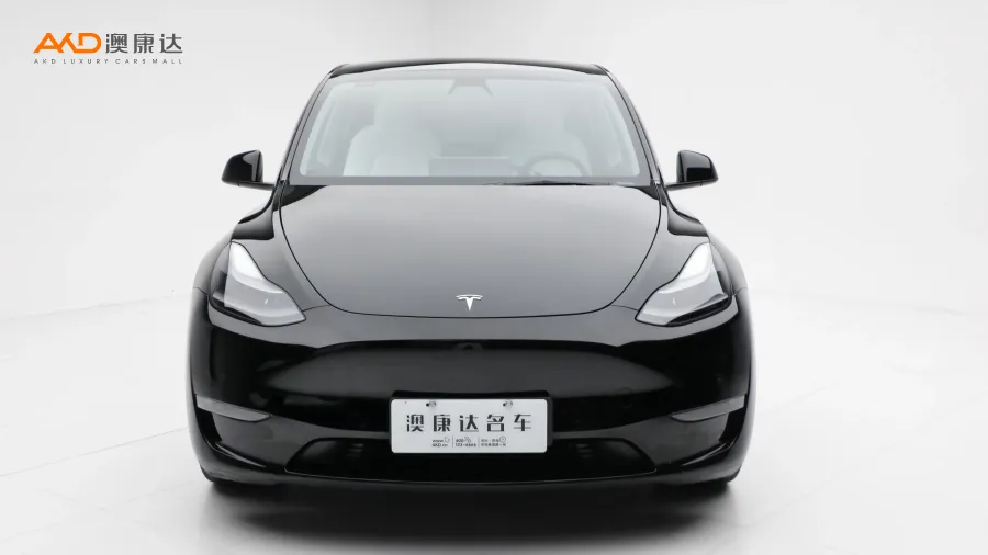 二手特斯拉Model Y Performance高性能全轮驱动版图片3593576