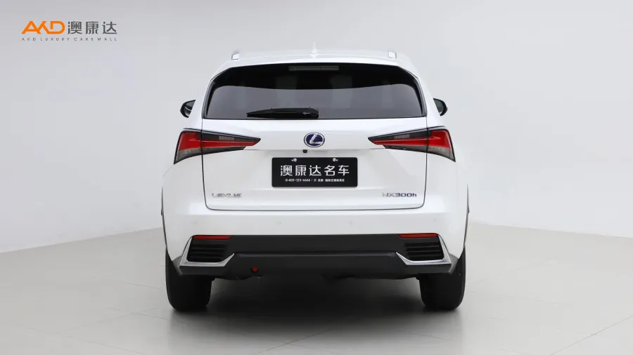 二手雷克萨斯NX300h 前驱锋尚版图片3594347