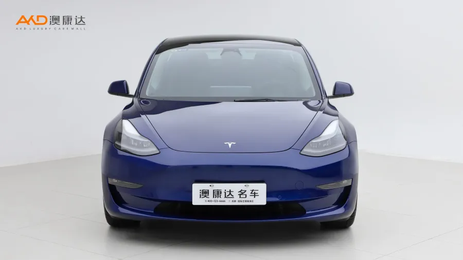 二手特斯拉Model 3 Performance高性能全轮驱动版图片3600369