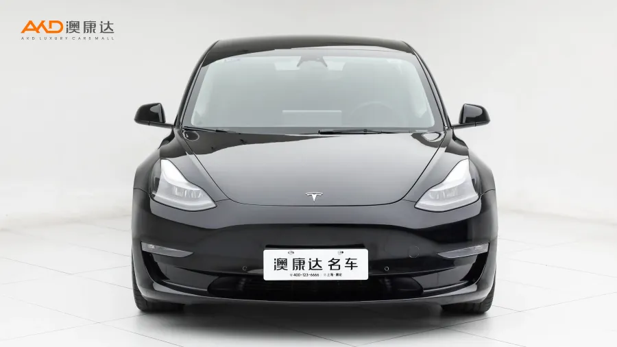 二手特斯拉Model 3 Performance高性能全轮驱动版图片3606555