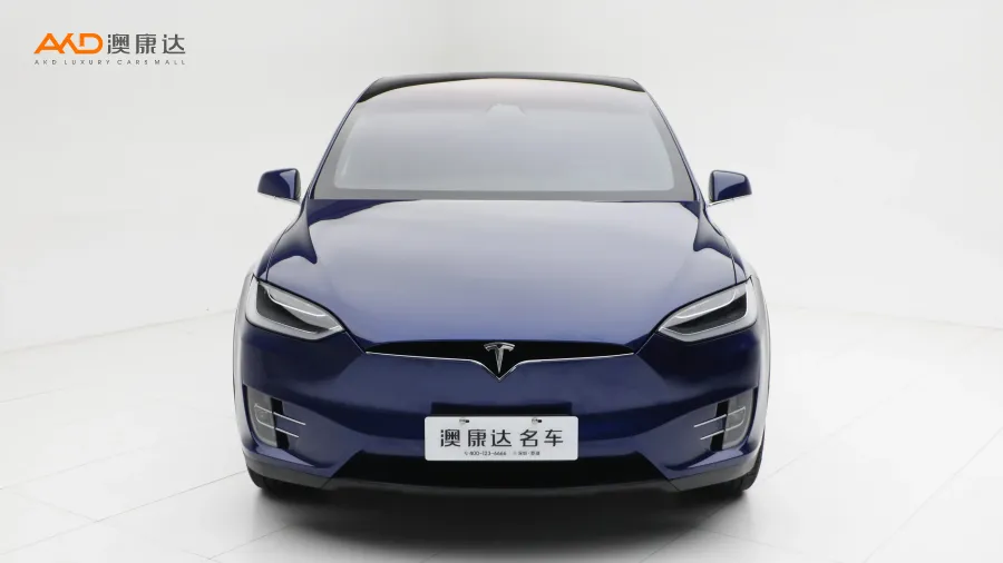 二手特斯拉Model X 100D 长续航版图片3613569