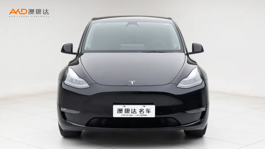 二手特斯拉Model Y 改款 长续航全轮驱动版图片3616994