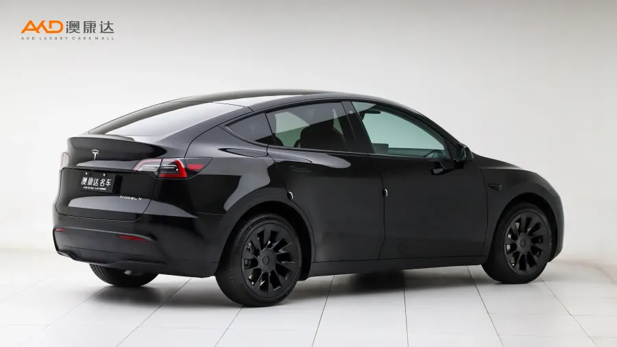 二手特斯拉Model Y 改款 长续航全轮驱动版图片3616998