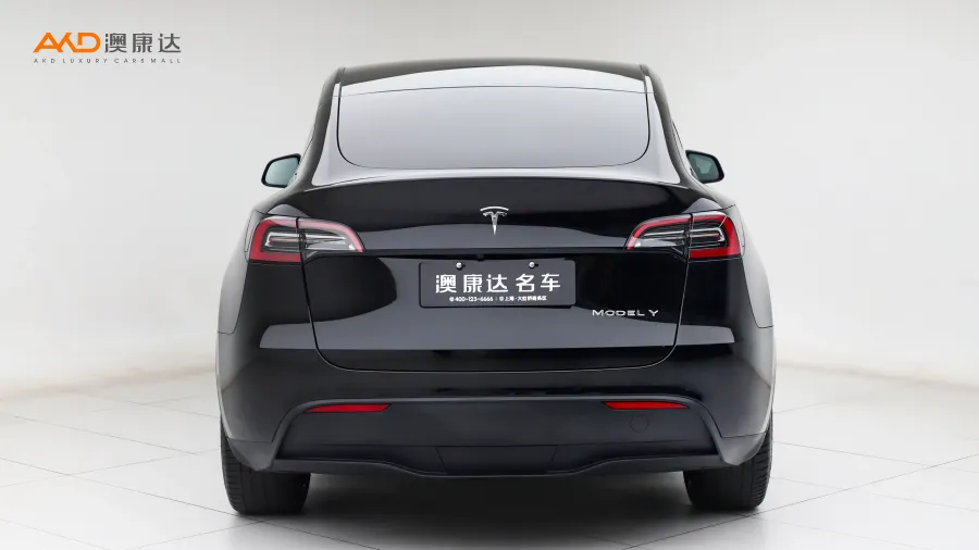 二手特斯拉Model Y 改款 长续航全轮驱动版图片3617000