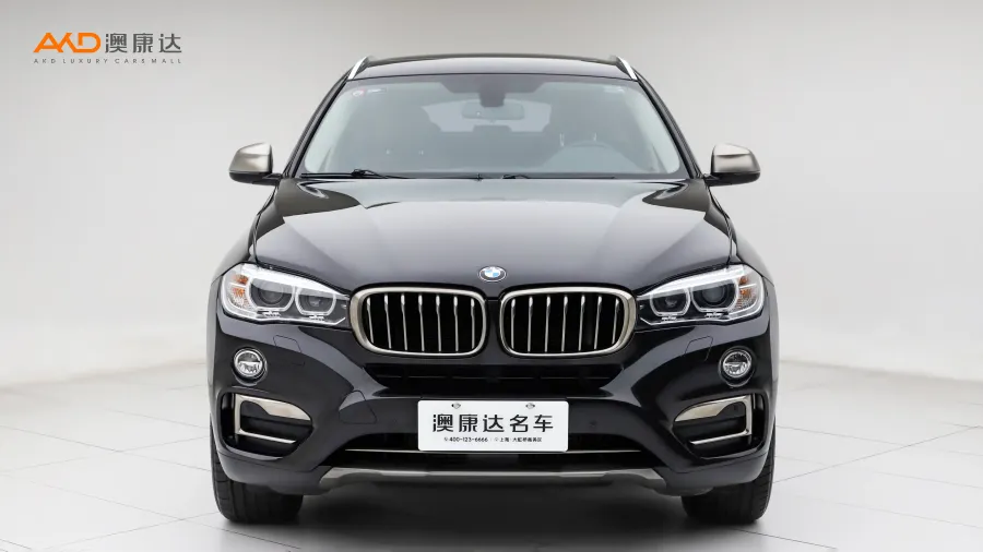 二手宝马X6 xDrive35i 领先型图片3633893