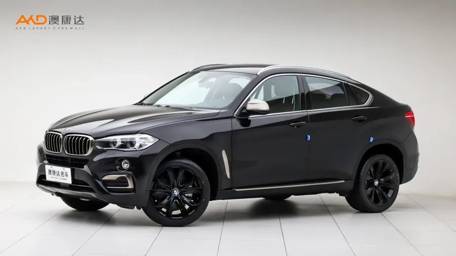 二手宝马X6 xDrive35i 领先型图片