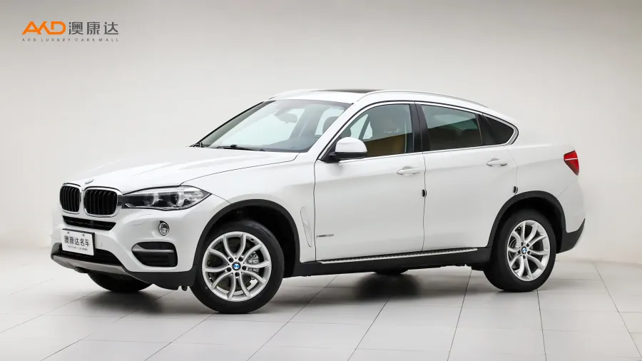 二手宝马X6 xDrive28i图片