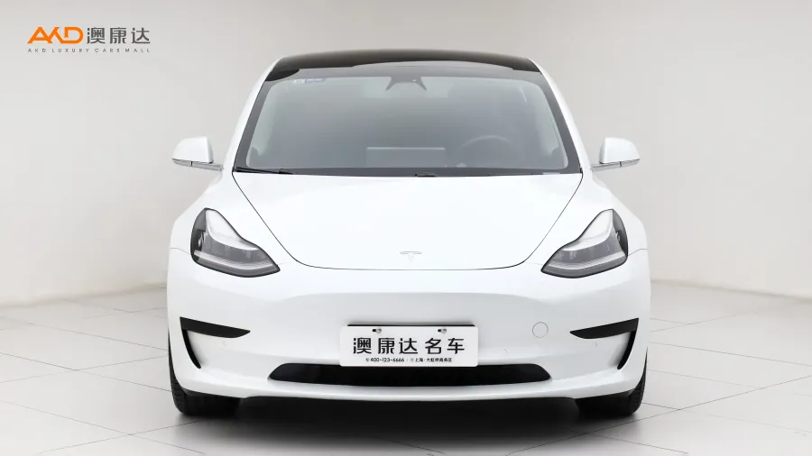 二手特斯拉Model 3 标准续航后驱升级版图片3638141