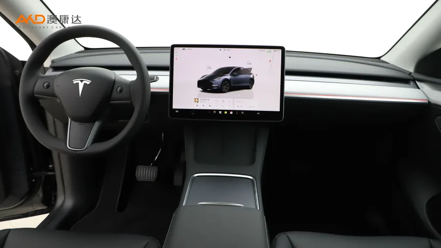 二手特斯拉Model Y 长续航全轮驱动版图片3641039