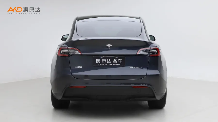 二手特斯拉Model Y 长续航全轮驱动版图片3641028