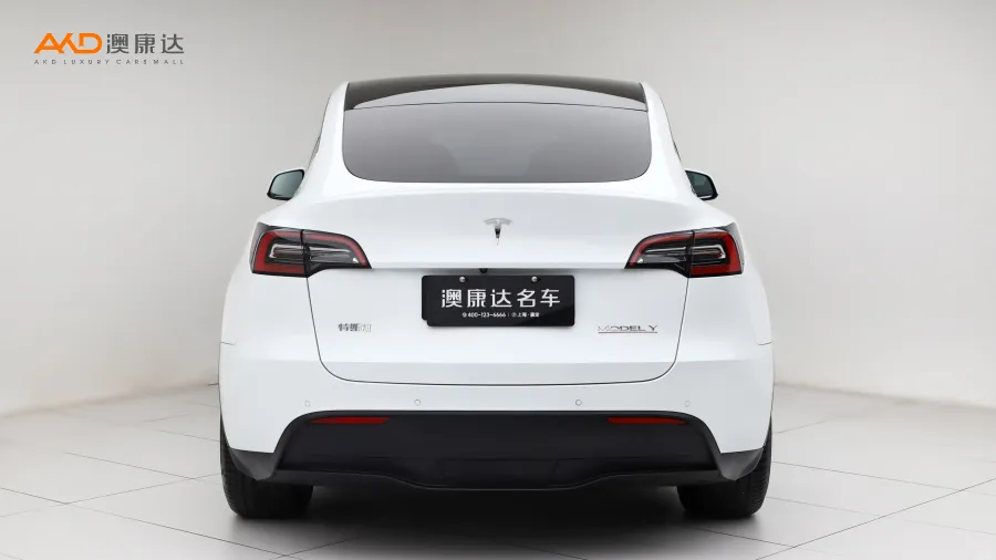 二手特斯拉Model Y Performance高性能全轮驱动图片3640975