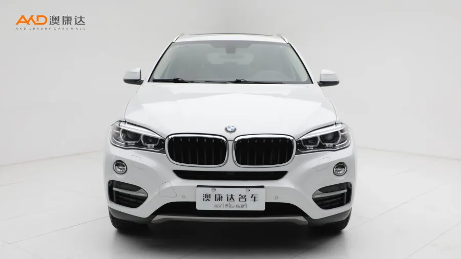 二手宝马X6 xDrive28i图片3644307