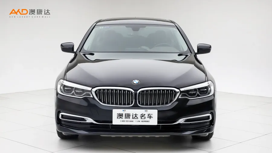 二手宝马530Li 领先型 豪华套装图片3649231