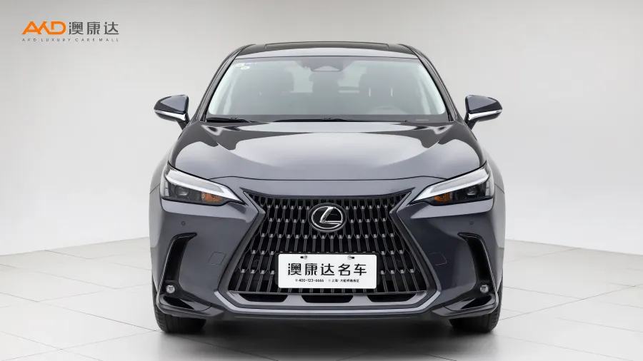 二手雷克萨斯 NX400h+ 畅悦版图片3649755