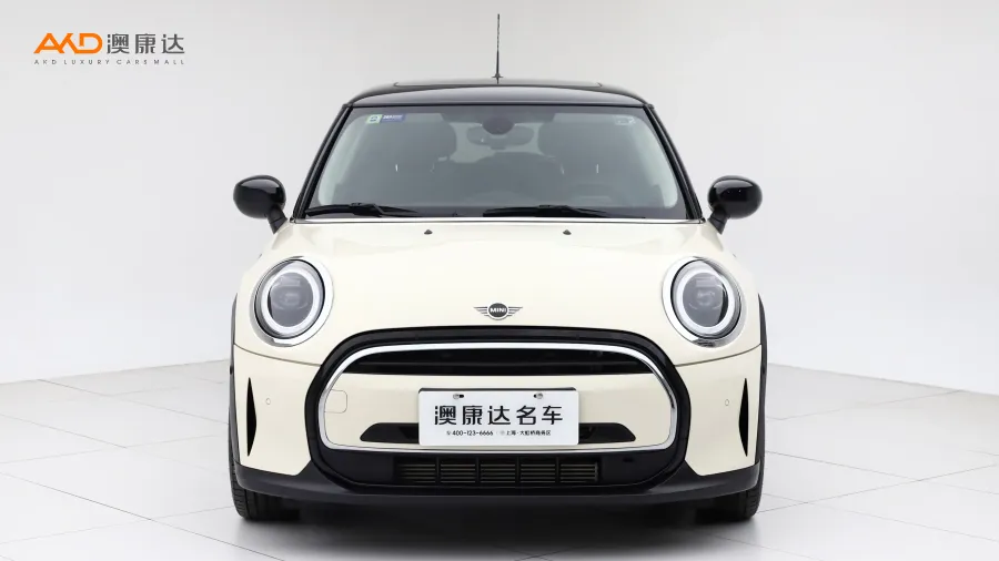 二手Mini COOPER 艺术家图片3651128