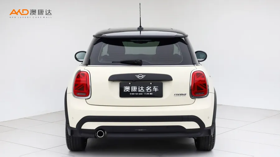 二手Mini COOPER 艺术家图片3651134