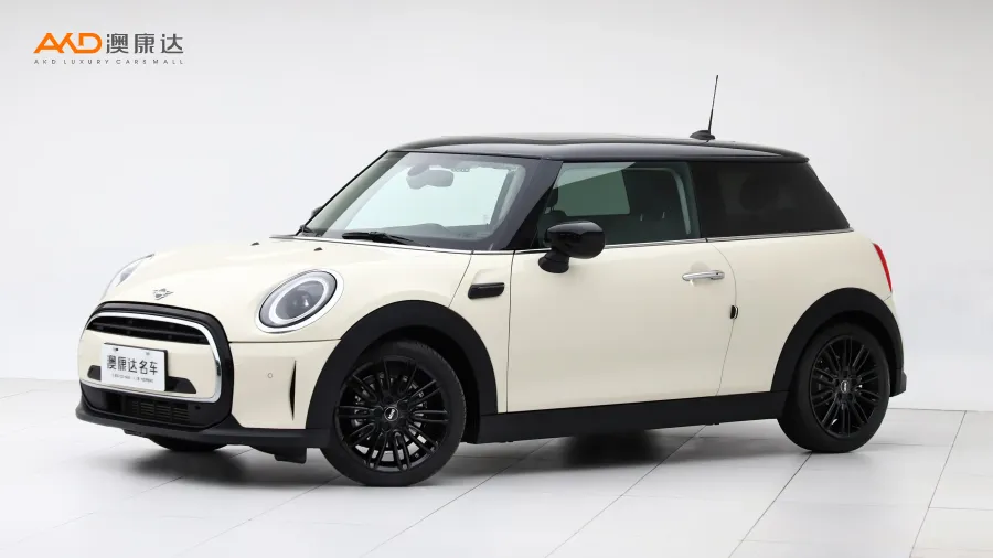 二手Mini COOPER 艺术家图片