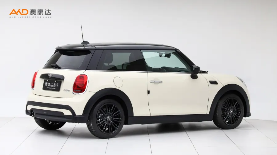 二手Mini COOPER 艺术家图片3651132