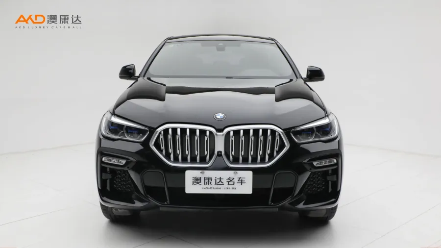 二手宝马X6 xDrive40i M运动套装图片3653112