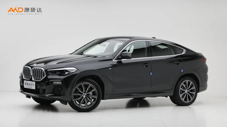 二手宝马X6 xDrive30i M运动套装图片