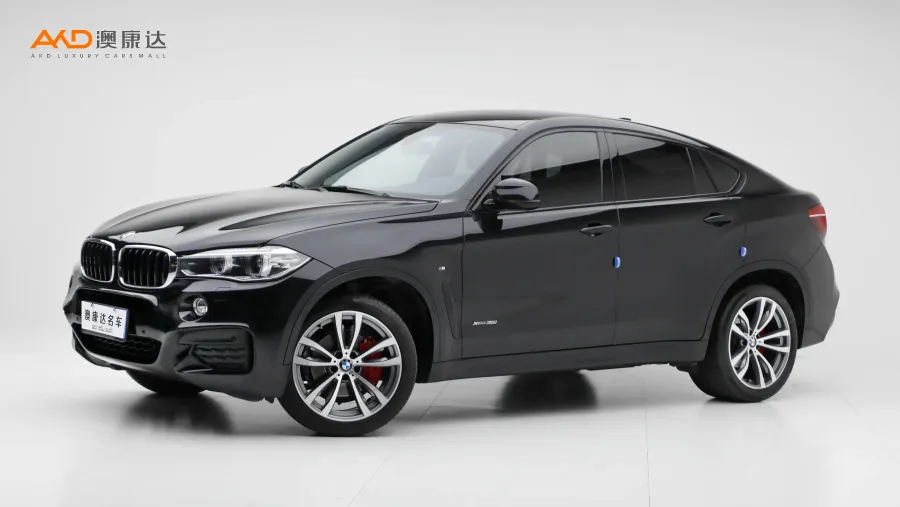 二手宝马X6 xDrive35i 中东版图片