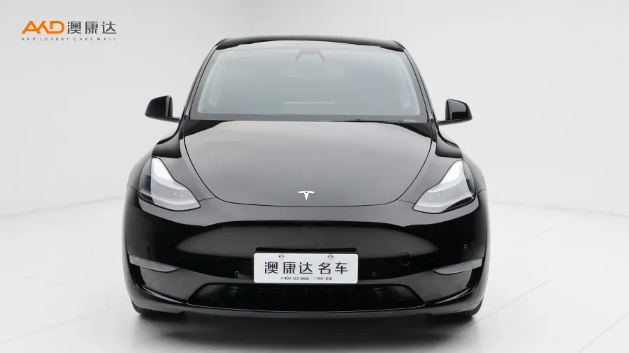 二手特斯拉Model Y Performance高性能全轮驱动版图片3667261