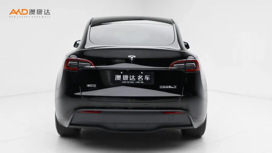 二手特斯拉Model Y Performance高性能全轮驱动版图片3667267