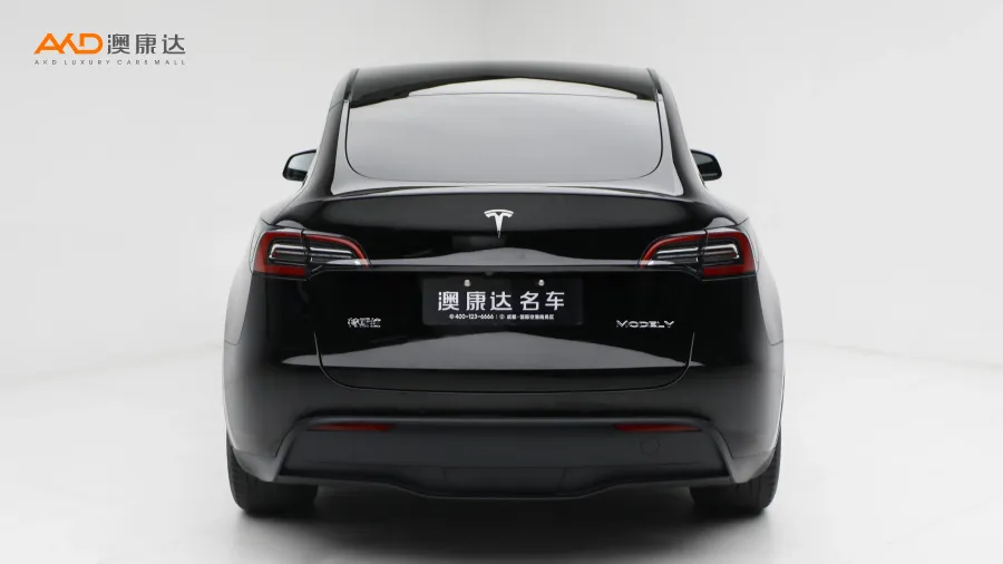 二手特斯拉Model Y 后轮驱动版图片3669831