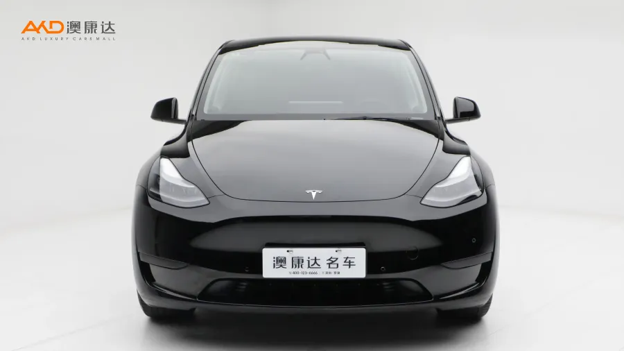 二手特斯拉Model Y 后轮驱动版图片3669827