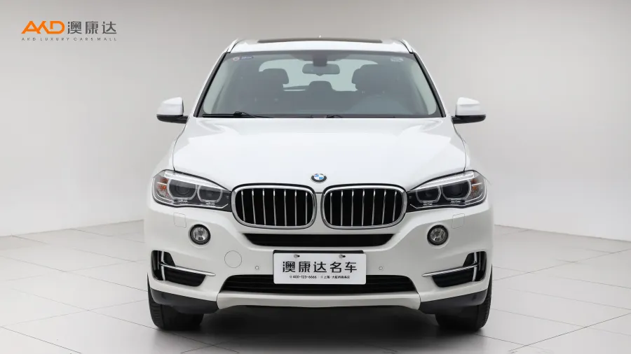 二手宝马X5 xDrive28i图片3668361