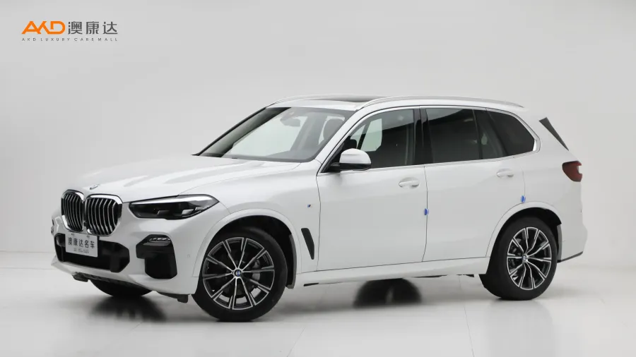 二手宝马X5 xDrive30i M运动套装图片