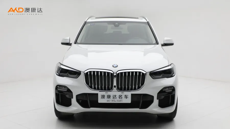 二手宝马X5 xDrive30i M运动套装图片3671593