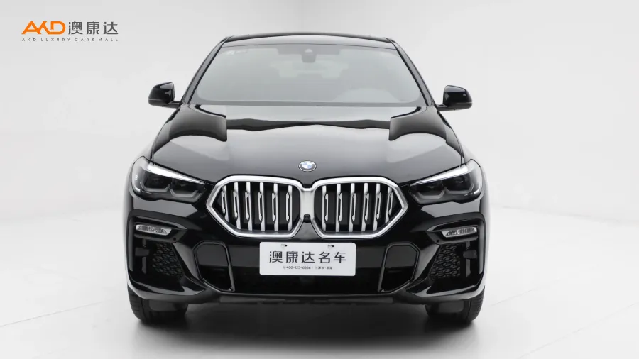 二手宝马X6 xDrive30i M运动套装图片3673730