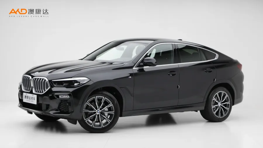 二手宝马X6 xDrive30i M运动套装图片