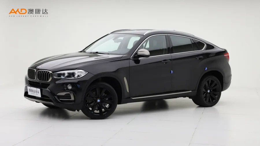 二手宝马X6 xDrive35i 领先型图片