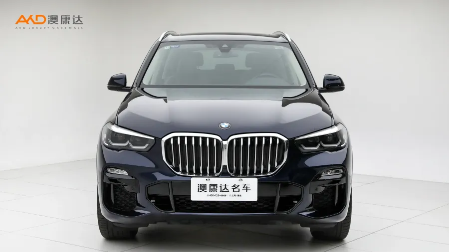 二手宝马X5 xDrive30i M运动套装图片3676415