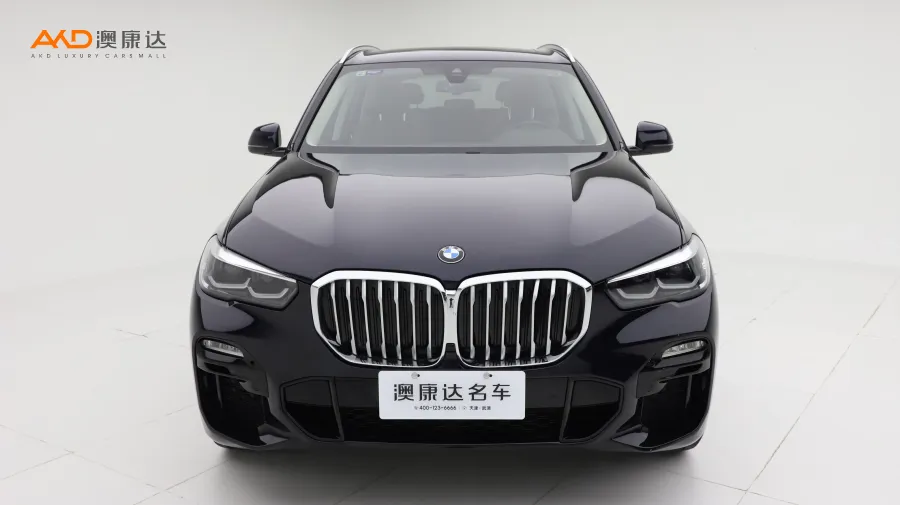 二手宝马X5 xDrive30i M运动套装图片3676493