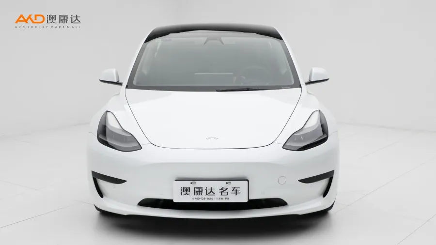 二手特斯拉Model 3 标准续航后驱升级版3D6图片3676102