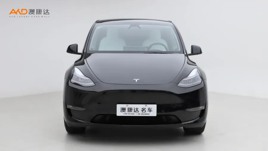 二手特斯拉Model Y 长续航全轮驱动版图片3676710