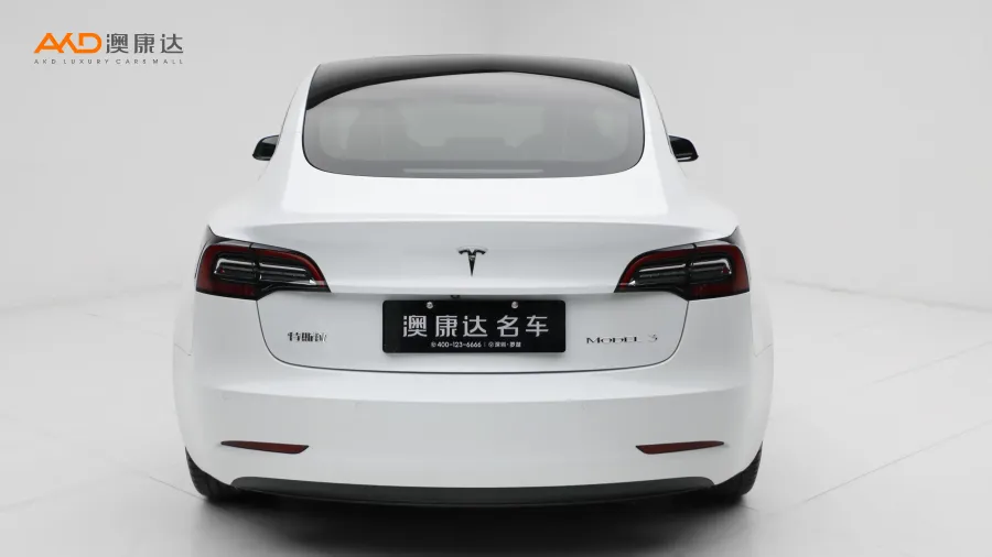 二手特斯拉Model 3 标准续航后驱升级版3D6图片3676108